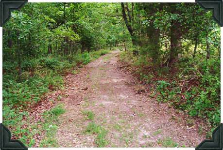 walking-path13